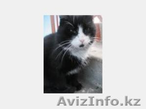 Dzhukeeva Dina,  clark.potter@yandex.ru,  +7 727 232 90 76 #180459