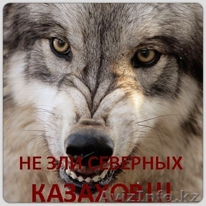 uvozzaimi_4elovek@mail.ru. 87011531413, 87779247445 #166217
