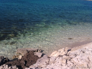 21 ГЕКТАР У МОРЯ ! ПРОДАМ КРЫМ  пгт ЧЕРНОМОРСКОЕ. #163255