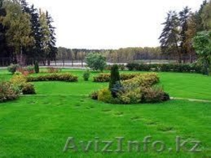 Озеленение,  ландшафтный дизайн,  благоустройство #180173