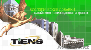 Бесплатная диагностика  и консультация врачей по восточной медицине. #181149