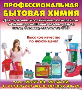 Профессиональная бытовая химия #160768