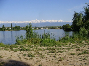 Летнее кафе на озере,  в городе Алматы #168825