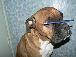 Шабанова Таня,  Tanya_05_86@mail.ru, 87772099900 #158051