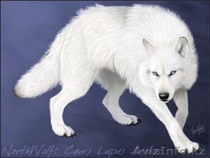 Официант по вызову #174527