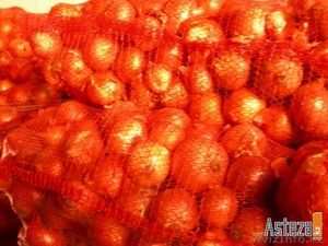 ЛУК (репчатый,  голанка) #160013