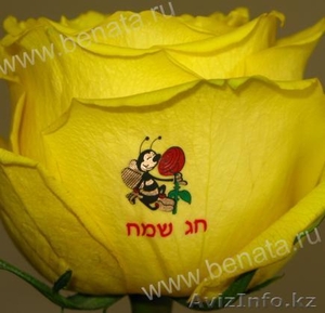 Ищем дилеров от производителя #206942