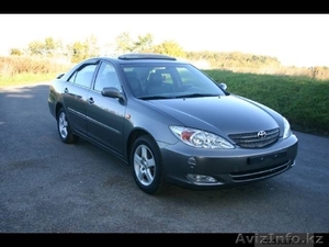 требуется кредит на развитие автобизнеса #186265