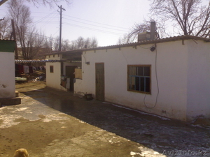 Дамир Балабеков, damir_kz_93@mail.ru.87016061188 #194881