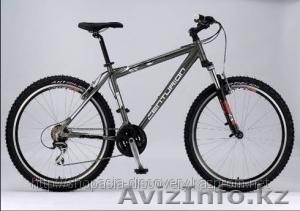 Centurion backfire m4 #207798