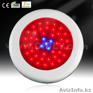 освещение для вегетация растений #203458