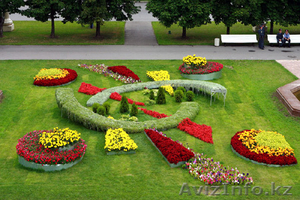 ОЗЕЛЕНЕНИЕ. ЛАНДШАФТНЫЙ ДИЗАЙН. ПРОФЕССИОНАЛЬНО #196099