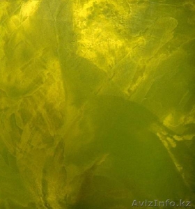 Декораривная штукатурка #190640