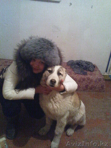 janpv@mail.ru657379 #194678