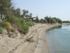 Земля на реке Или #210876