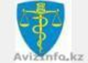 Юридические услуги по медицинским вопросам #185880