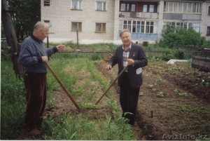 Плоскорез Фокина - инструмент,  полюбившийся дачникам-огородникам  #196840