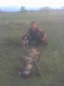 87776955500 Евгений, 87778153677 Николай #194462