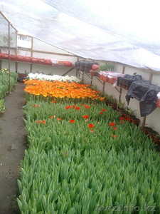 старченкогригорий #186830