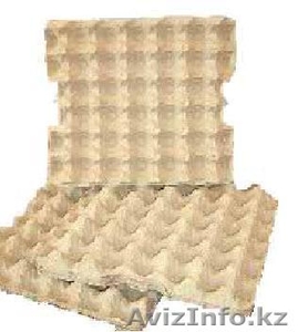 Продам упаковачный бизнес #193258