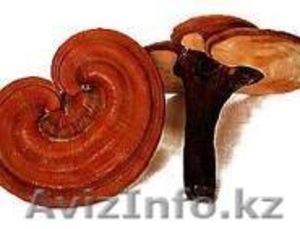 Кофе,  Чай для здоровья #209849