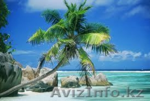 туристическое агентство AstarTravel #154070