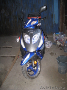 Ратон Феери Карбон #194768