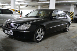 Пассажирские перевозки И.П. 