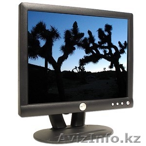 Монитор Dell E152FPb #208698