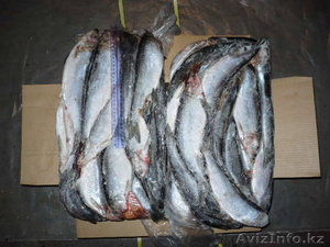 сельдь с/м т/о 27+,  короб #185713