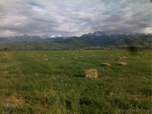 Срочно продам участок 1.5 гектара #204290