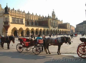 Репетитор польского языка онлайн #248209