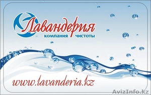 сеть химчисток 