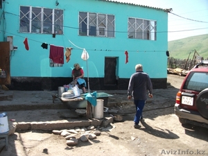 __afonin@mail.ru #230288