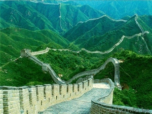 сотрудничество  #228940