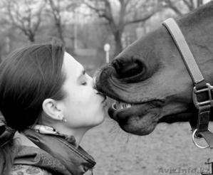 Конный туризм,  конные прогулки #234461