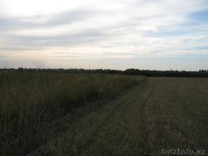 Аренда земли Алматинская Боласть  #220691