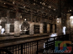 Школа цифровой графики и анимации D.GRAF #227201