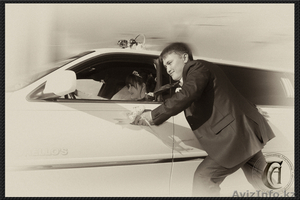 Я профессиональный фотограф #277883