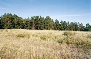 Продам Земельный участок у озеро Жокей #258260