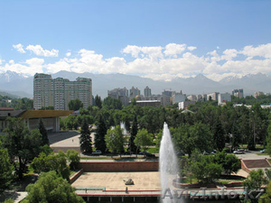 Срочно требуются риэлторы. #279011