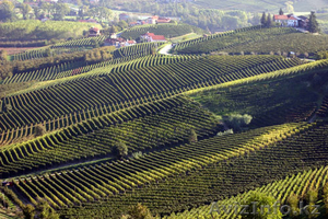 Гид в Турине (Италия - Пьемонт) / Russian guide in Turin (Piedmont - I #277424