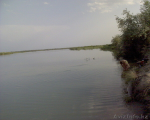 ПРОДАМ ЗЕМЛЮ ПОД КРЕСТЬЯНСКОЕ ХОЗЯЙСТВО #260304