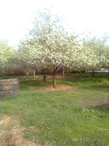 ПРОДАМ ДОМ В С/З АЛАТАУ КАРАСАЙСКИЙ Р-ОН 17 СОТ.ВЫШЕ М-НА КАЗАХ ФИЛЬМ  #249565