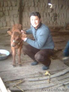 водитель-телохранитель #254507