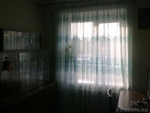 Продам 3-х комн квартиру  #278782