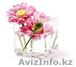 Уборка квартир в Алматы #258903