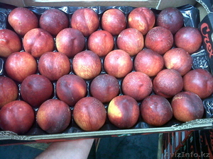 Продам нектарина #267647