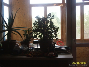 квартиру в центре города на Боулинге #278899