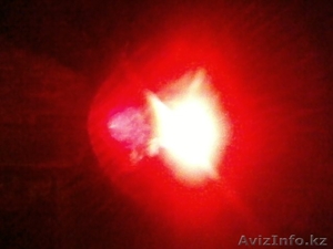 Карбамид,  селитра,  и другие удобрения на арбузы,  картофель и др #259005